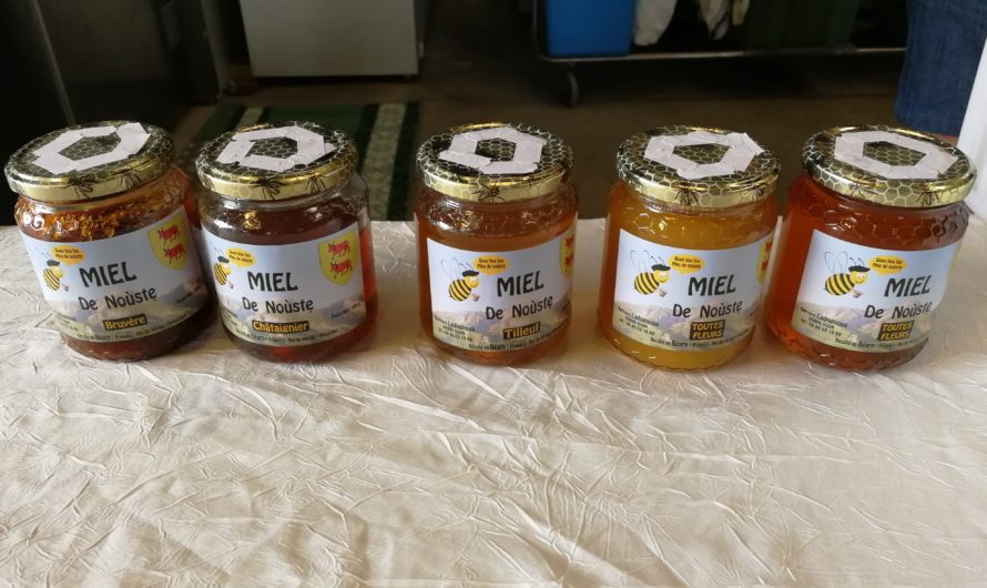 Semaine du goût – le miel