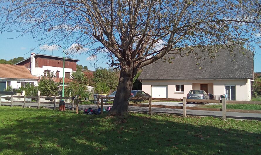 Sortie au parc Jean de La Fontaine