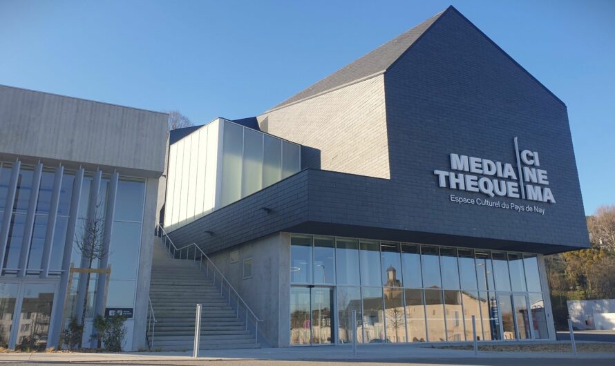 Sortie à la médiathèque