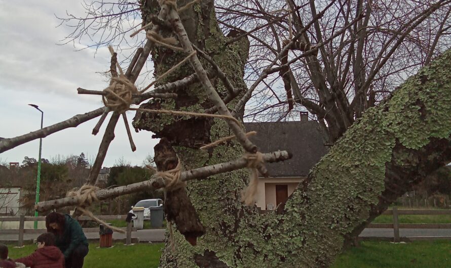 Du nouveau au parc Jean de La Fontaine